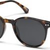 Classic Polarized Sunglasses